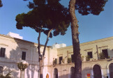 Biblioteca Bisceglie